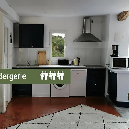 Pyrenees Mon 別荘 *