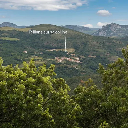 Pyrenees Mon