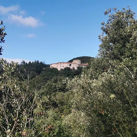 Pyrénées Mon *