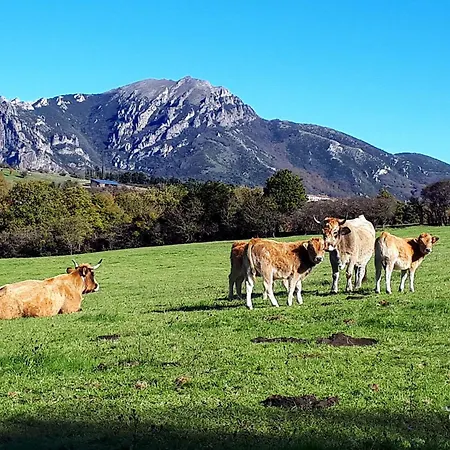 Pyrenees Mon Nyaraló